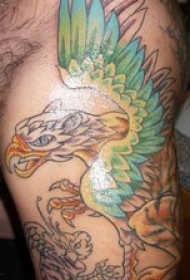 手臂彩翅狮鹫个性纹身图案