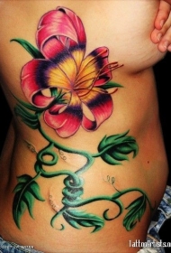侧肋美丽的彩绘五彩花朵纹身图案