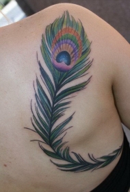 背部大型彩色孔雀羽毛纹身图案