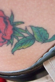 丰富多彩的天然玫瑰纹身图案