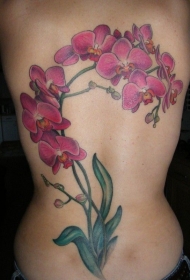 背部美丽的紫色兰花纹身图案