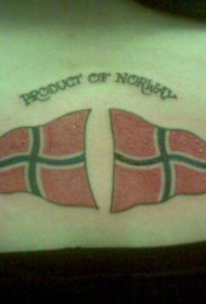 挪威国旗彩色背部纹身图案