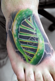 脚背非常漂亮的彩绘DNA纹身图案
