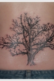腰部写实的大树纹身图案