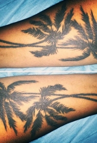 手臂非常逼真的黑色棕榈树纹身图案