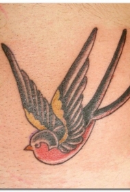彩色的燕子纹身图案