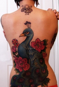背部绚丽的彩色插画风格孔雀和花朵纹身图案