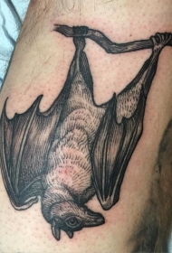 雕刻风格黑色的蝙蝠纹身图案