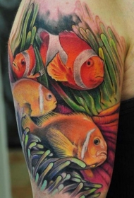 大臂美丽的写实海底鱼纹身图案