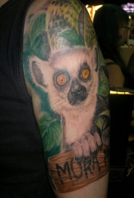 大臂很酷多彩的狐猴和热带树叶纹身图案