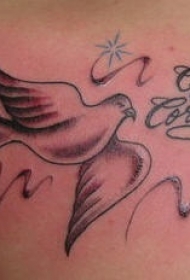 和平鸽与字母纹身图案