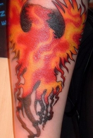 小臂美丽火焰与彩色凤凰纹身图案