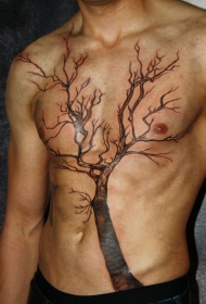 男人腹部一棵大树纹身图案