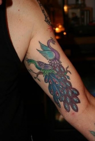 手臂侧肋old school两只紫孔雀纹身图案