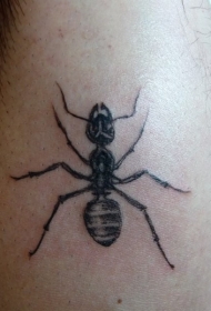 手臂黑色的蚂蚁纹身图案