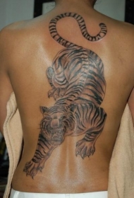 背部逼真的黑色老虎纹身图案