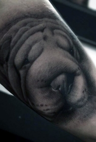 手臂可爱的小狗头像纹身图案
