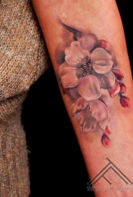 手臂插画风格彩色花朵纹身图案