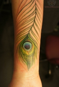手臂薄绿色的孔雀羽毛纹身图案