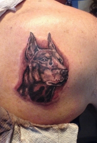 背部杜宾犬的头像纹身图案