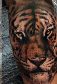 美丽写实的彩色老虎头像纹身图案