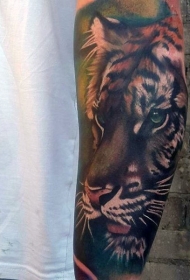 手臂美丽的彩色老虎头逼真纹身图案