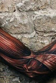 手臂疯狂的写实彩绘肌肉纹身图案