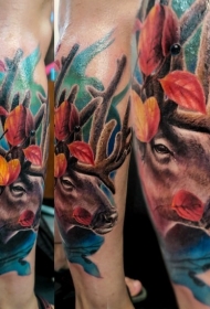 小腿美丽的彩色鹿头枫叶纹身图案