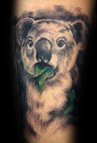 好看的天然考拉熊与树叶纹身图案