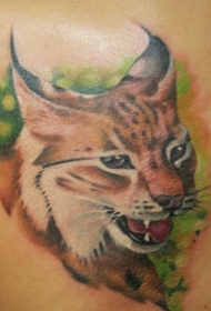 肩部彩色可爱的小野猫纹身图案