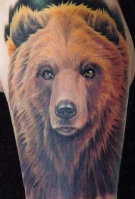 奇妙的水彩熊头像纹身图案