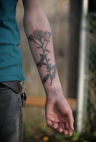 手臂野生的花朵彩色纹身图案