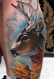 小腿彩色天然写实美丽的鹿纹身图案