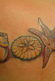 彩绘好看的贝壳和海星纹身图案