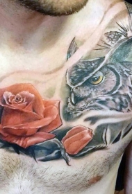 胸部五彩的猫头鹰和玫瑰纹身图案
