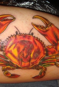 手臂奇妙的红色螃蟹纹身图案