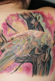 背部美丽的彩色乌鸦纹身图案