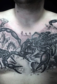 胸部两只黑色的蝎子打架纹身图案