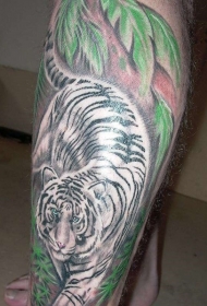 小腿美妙的丛林中的白虎纹身图案