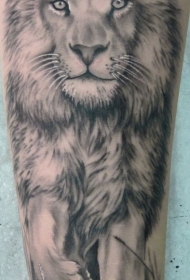 手臂上的步行狮子纹身图案