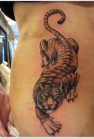腿部亚洲风格彩绘大老虎纹身图案