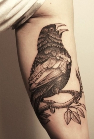 手臂上的树枝和乌鸦点刺纹身图案