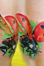 美丽生动的彩色瓢虫纹身图案