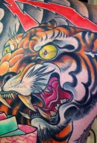 背部亚洲式的彩色老虎头像纹身图案