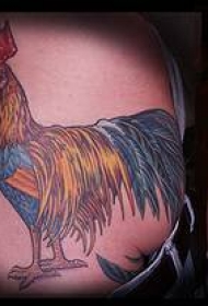 写实的精美公鸡纹身图案