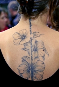背部美丽的芙蓉花和字符纹身图案
