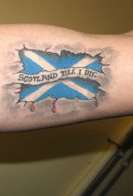 手臂撕皮蓝色的苏格兰国旗纹身图案