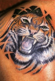 肩部写实的彩色老虎纹身图案