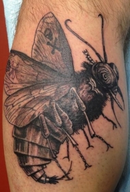 小腿雕刻风格机械蜜蜂纹身图案