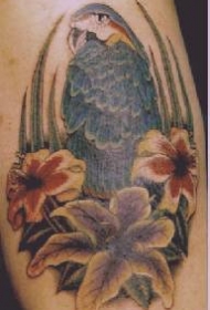 蓝色的鹦鹉和花朵纹身图案